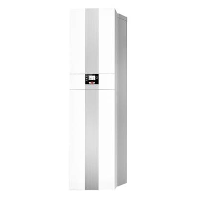 Настенный конденсационный газовый котел Wolf CSZ-2-24/300R